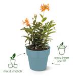 b.for original round 18cm living black